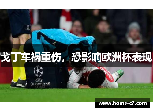 戈丁车祸重伤，恐影响欧洲杯表现