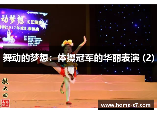 舞动的梦想：体操冠军的华丽表演 (2)